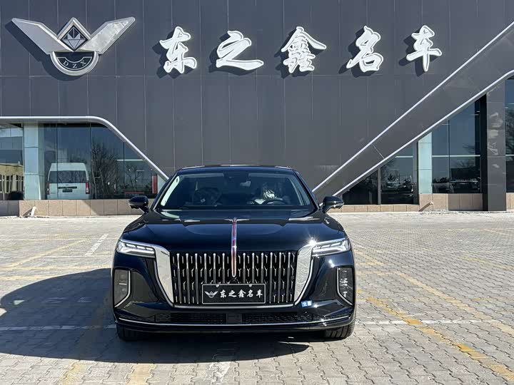 Фото 3 - Hongqi H9