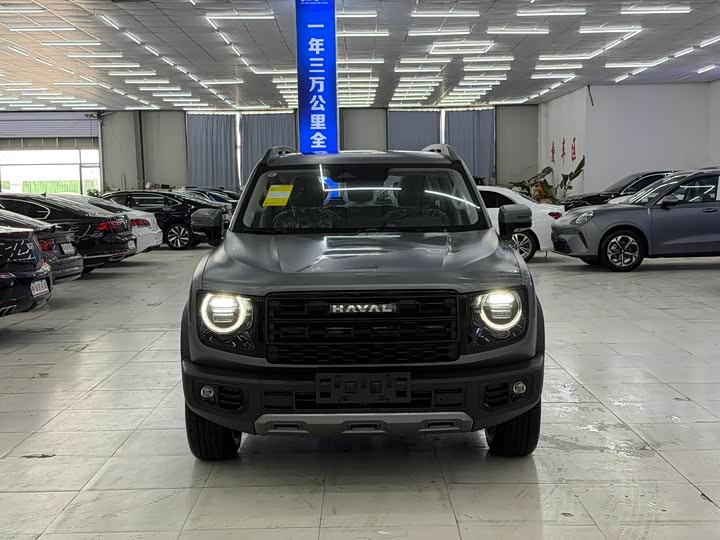 Фото 2 - Haval Dargo