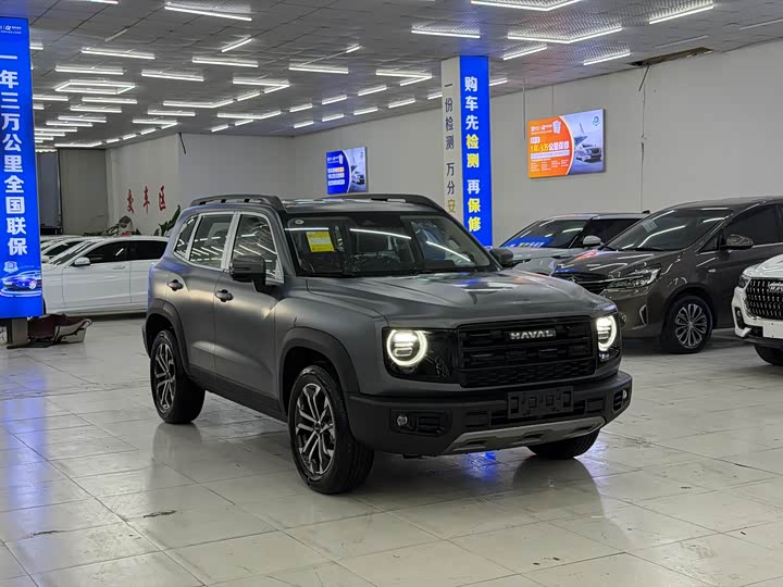 Фото 3 - Haval Dargo