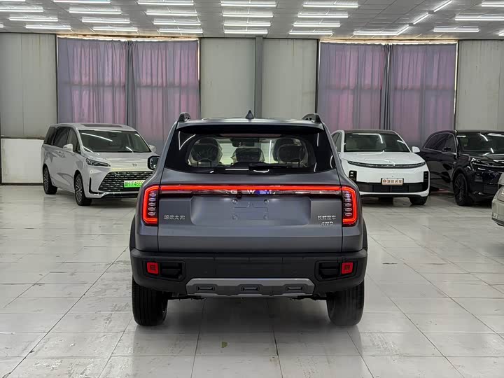 Фото 9 - Haval Dargo