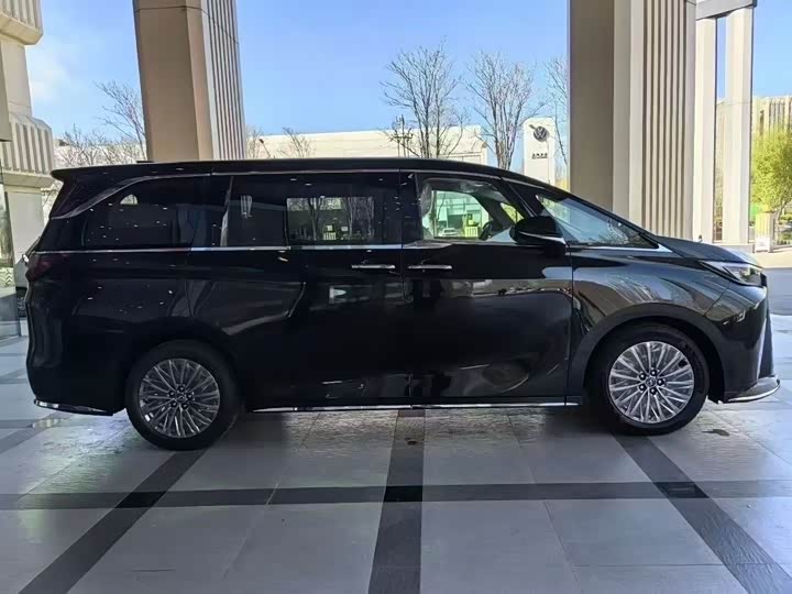 Фото 2 - Lexus LM