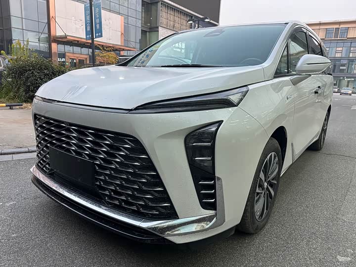 Фото 1 - Buick GL8 ES