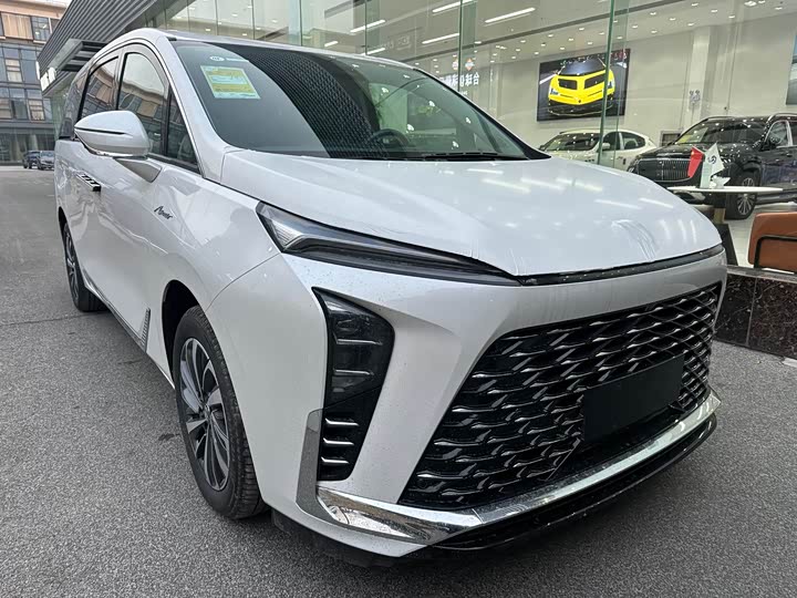 Фото 3 - Buick GL8 ES