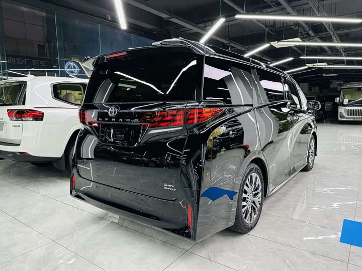 Фото 8 - Toyota Alphard