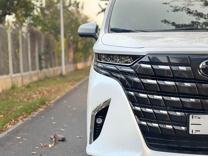 Фото 5 - Toyota Alphard