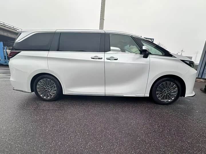 Фото 8 - Lexus LM