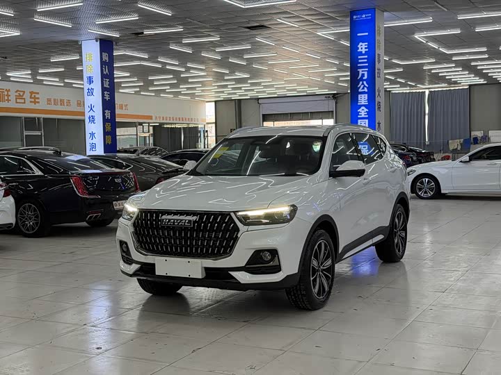 Фото 1 - Haval H6