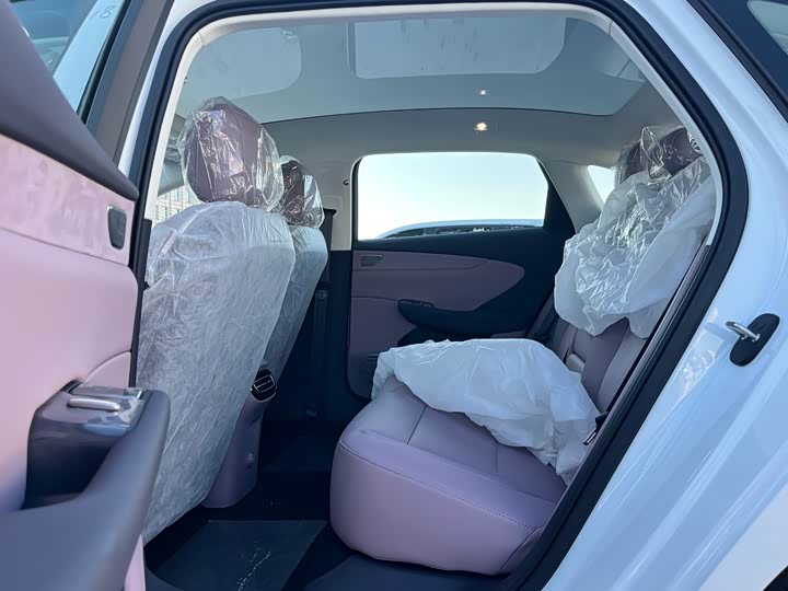 Фото 8 - Hongqi EH5 (Tiangong 05)