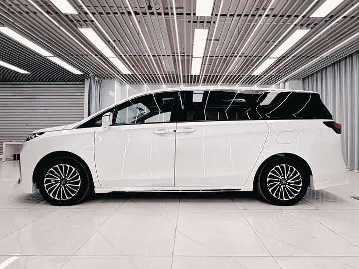 Фото 3 - Buick GL8 Hybrid