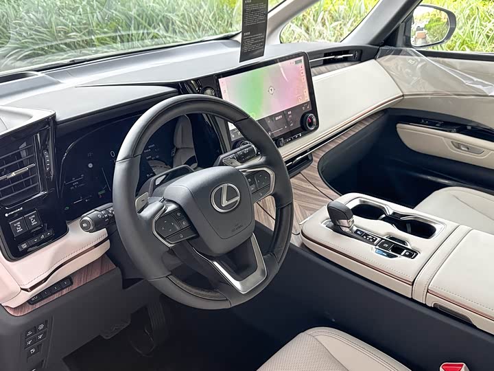 Фото 7 - Lexus LM