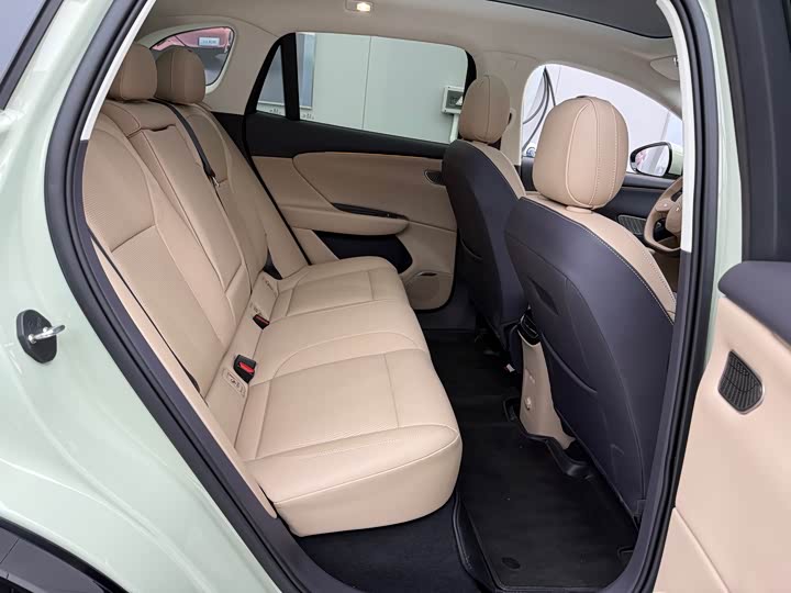 Фото 6 - Hongqi EHS5 (Tiangong 06)