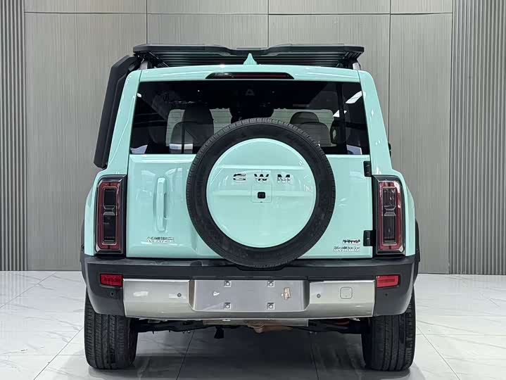 Фото 5 - Haval Raptor Hybrid