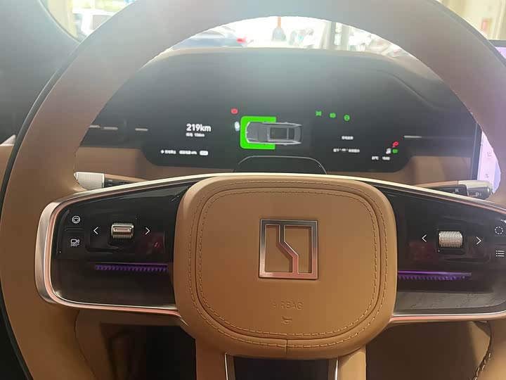 Фото 5 - Zeekr 9X