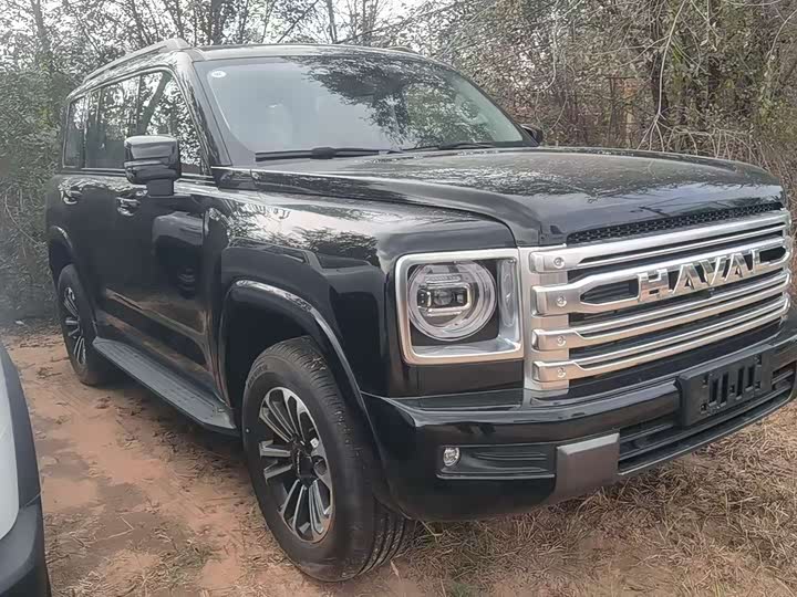 Фото 3 - Haval H9