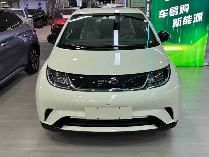 Фото 2 - BYD Dolphin