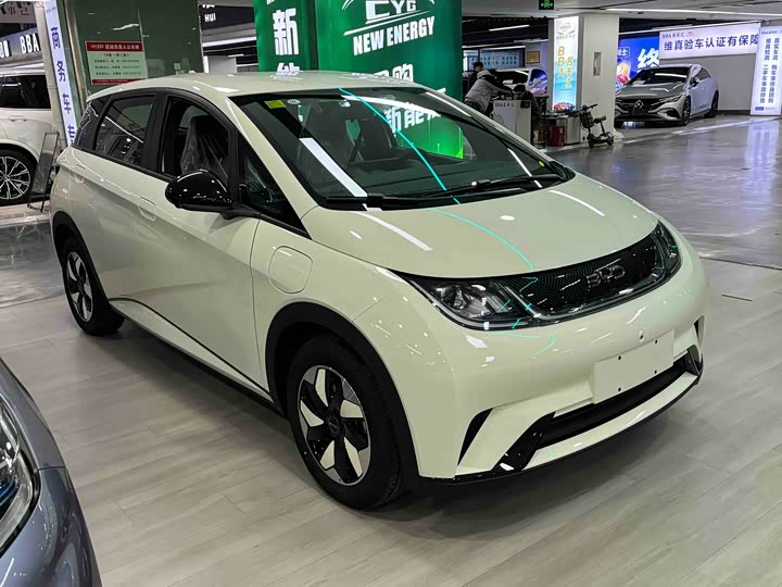 Фото 3 - BYD Dolphin