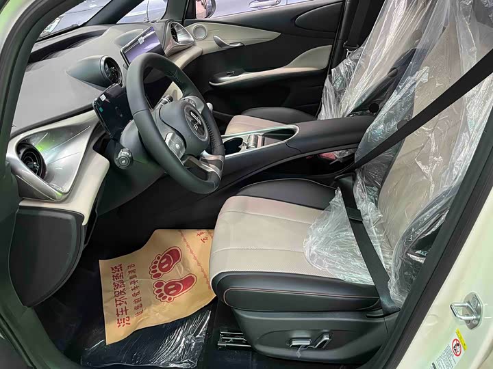 Фото 4 - BYD Dolphin