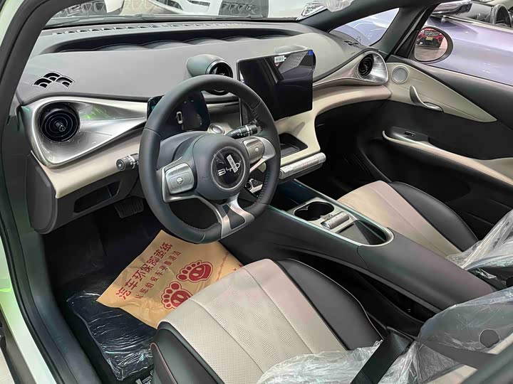 Фото 5 - BYD Dolphin