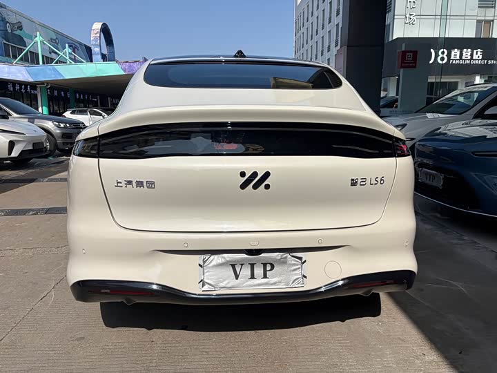 Фото 5 - IM motors LS6