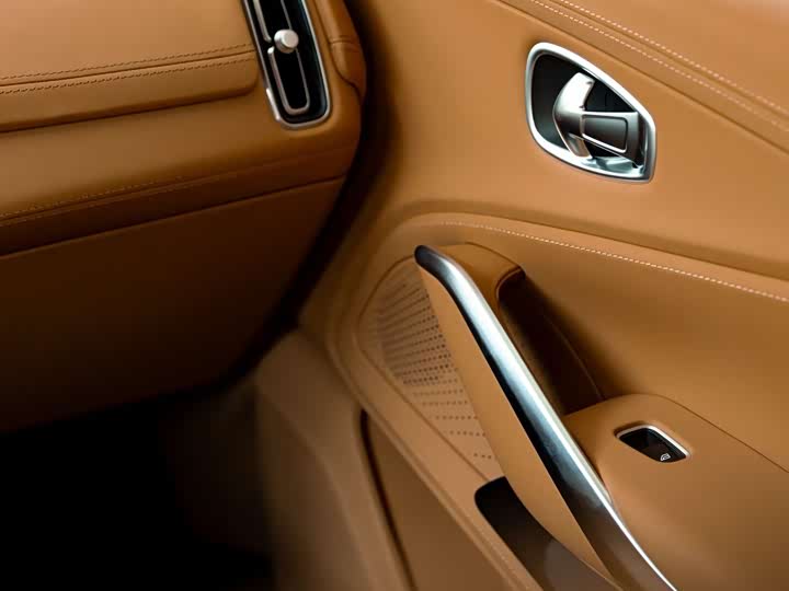 Фото 4 - Aston Martin DBX