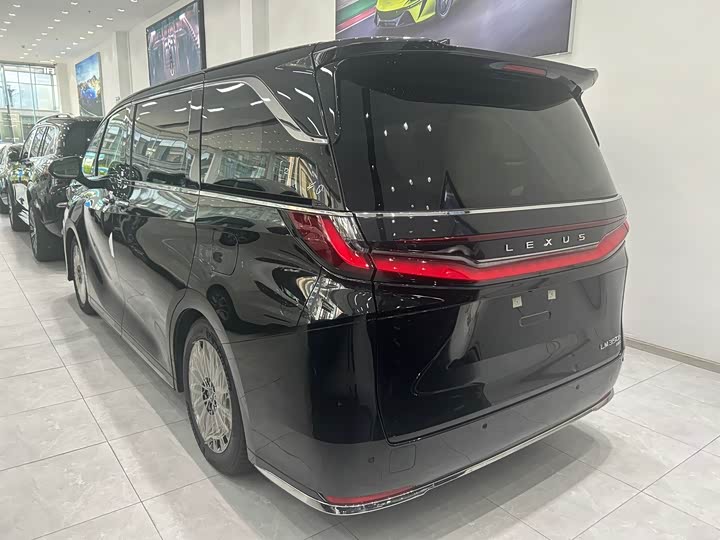 Фото 10 - Lexus LM