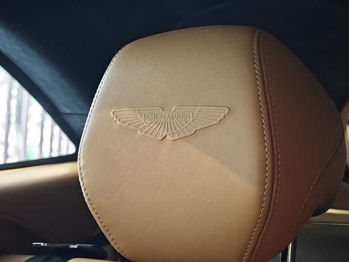 Фото 16 - Aston Martin DBX