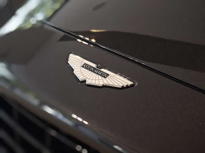 Фото 5 - Aston Martin DBX