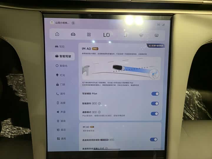 Фото 11 - IM motors LS7