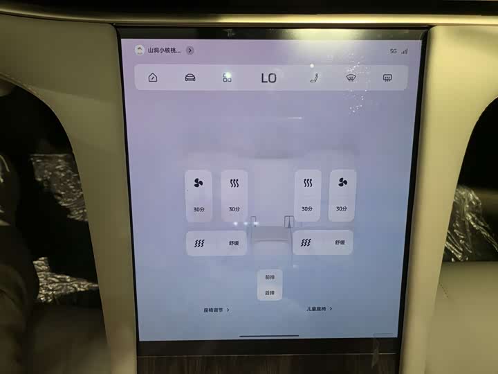 Фото 13 - IM motors LS7