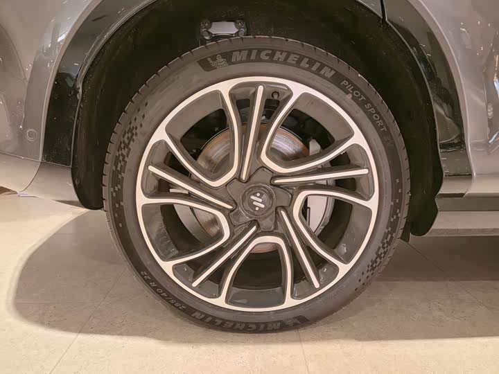 Фото 25 - IM motors LS7