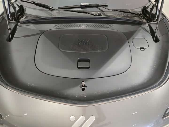 Фото 27 - IM motors LS7