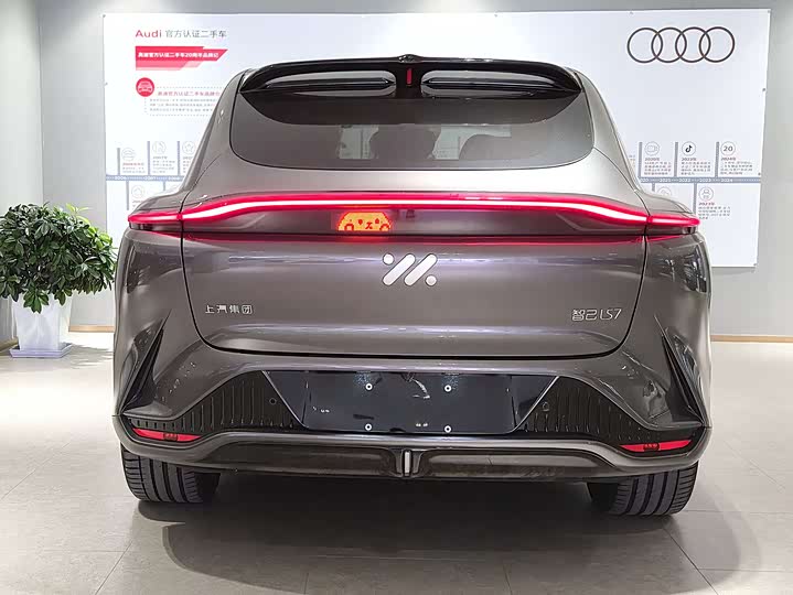 Фото 5 - IM motors LS7