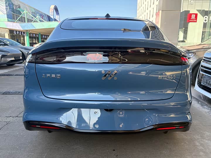 Photo 6 - IM motors LS6