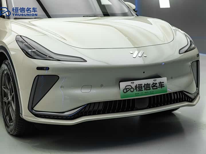 Фото 7 - IM motors LS7