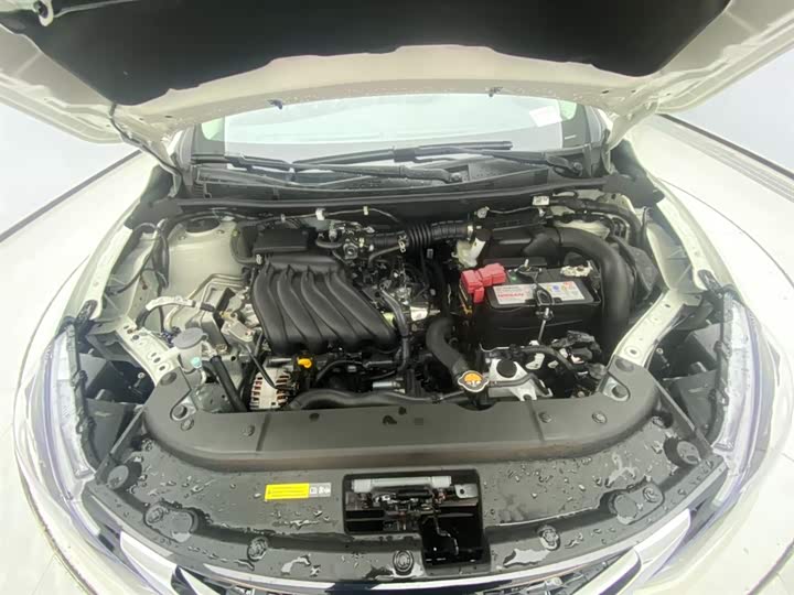 Фото 13 - Nissan Sylphy