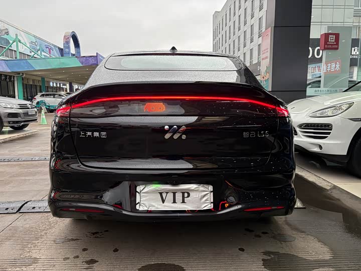 Фото 8 - IM motors LS6