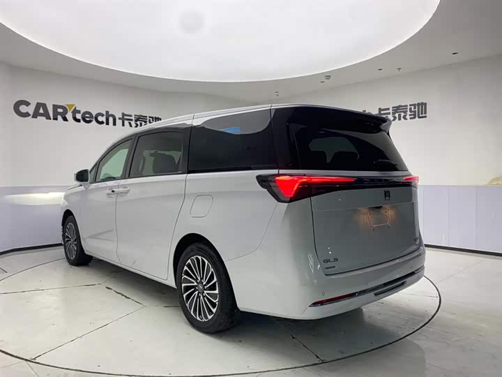 Фото 8 - Buick GL8 Hybrid