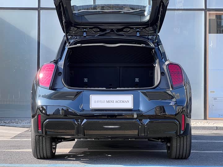 Фото 6 - Mini Aceman