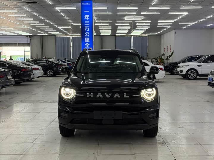 Фото 2 - Haval H-Dog Hybrid