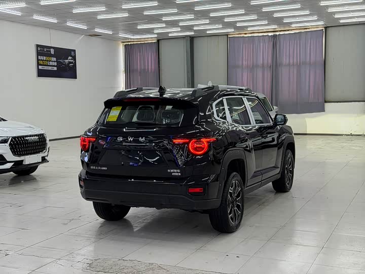 Фото 8 - Haval H-Dog Hybrid