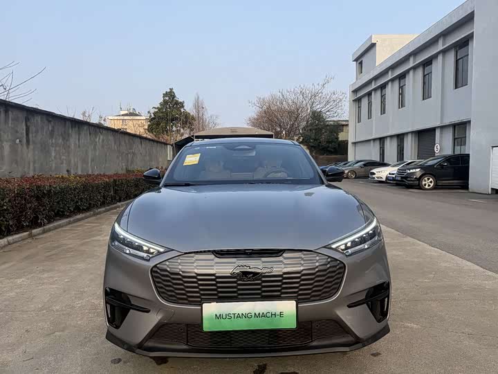 Фото 1 - Ford Mustang Mach-E