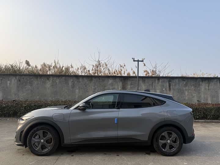 Фото 4 - Ford Mustang Mach-E