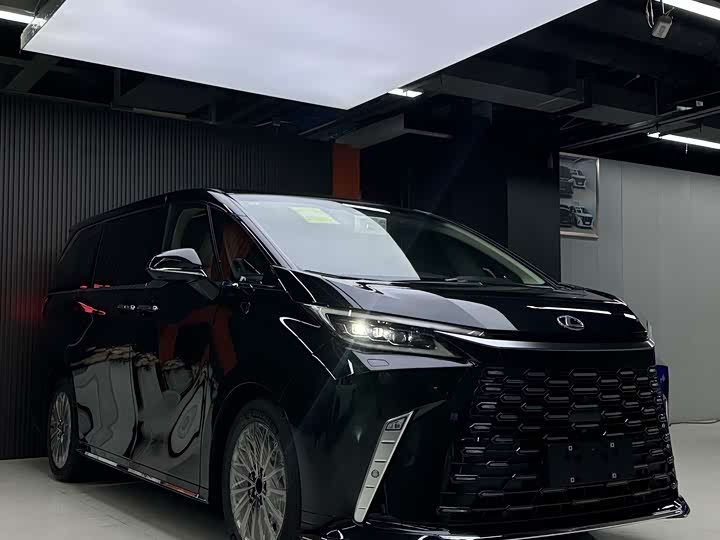 Фото 1 - Lexus LM