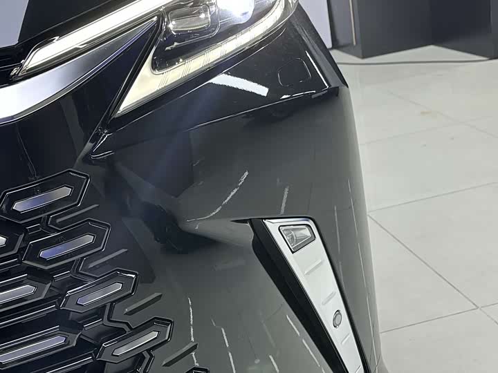 Фото 5 - Lexus LM