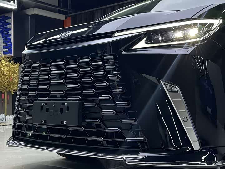 Фото 6 - Lexus LM