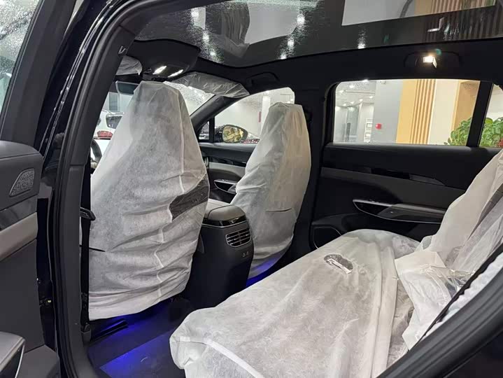 Фото 9 - Hongqi EHS7 (Tiangong 08)