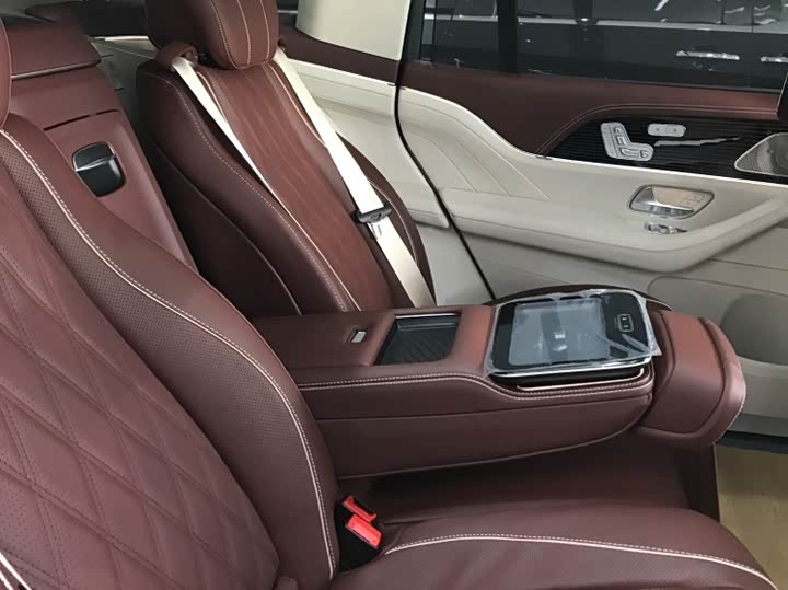 Фото 9 - Mercedes-Benz Maybach GLS