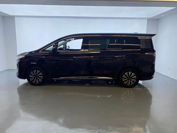Фото 4 - Hongqi HQ9 Hybrid