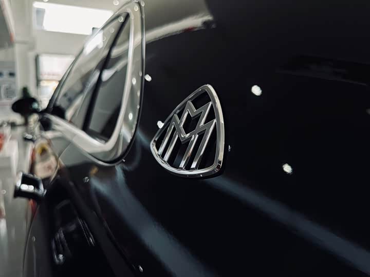 Фото 14 - Mercedes-Benz Maybach S-Class