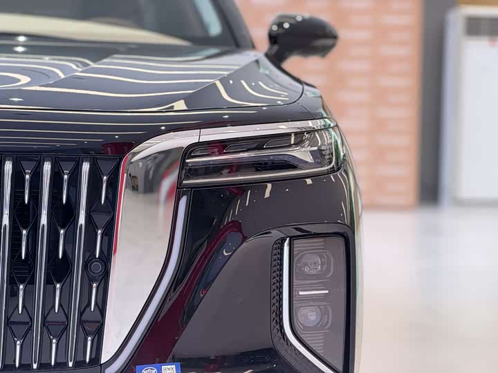 Фото 3 - Hongqi H9